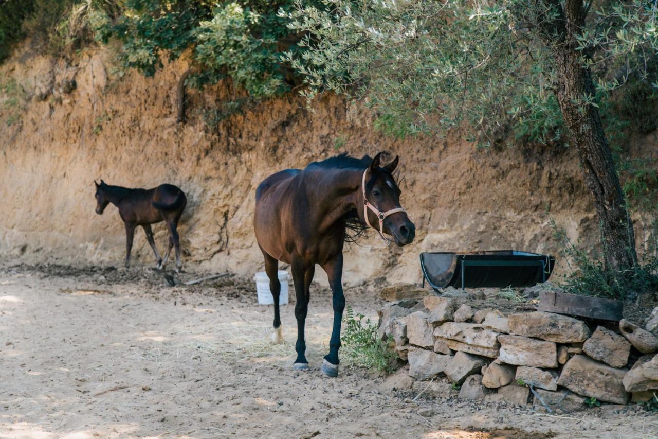 Leano Agriresort Piazza Armerina Buitenkant foto