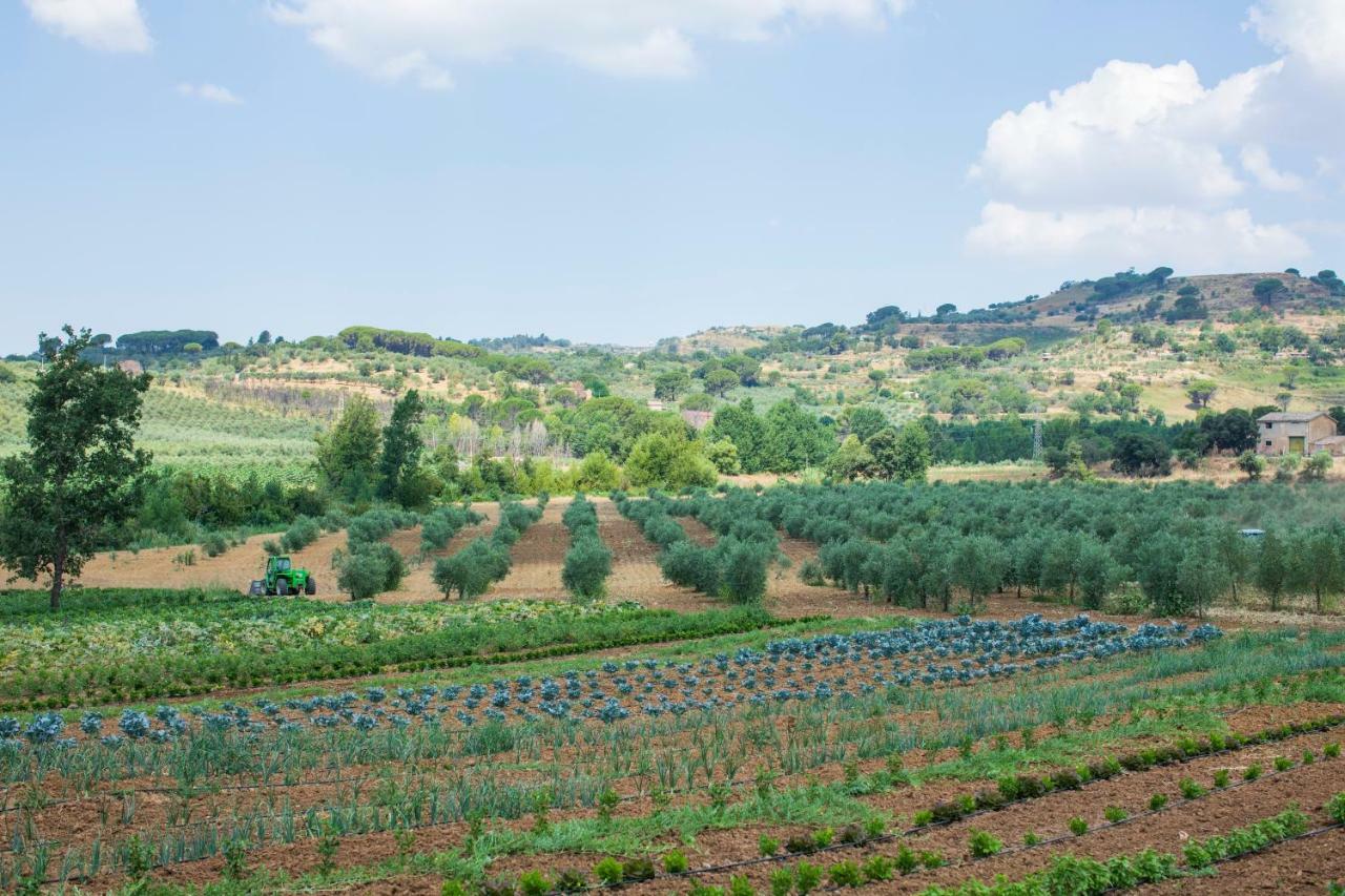 Leano Agriresort Piazza Armerina Buitenkant foto