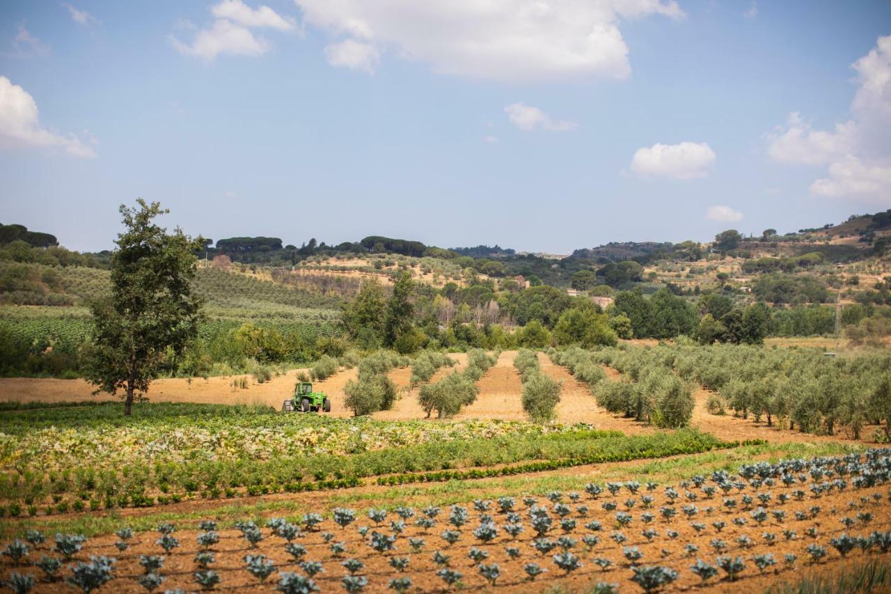 Leano Agriresort Piazza Armerina Buitenkant foto